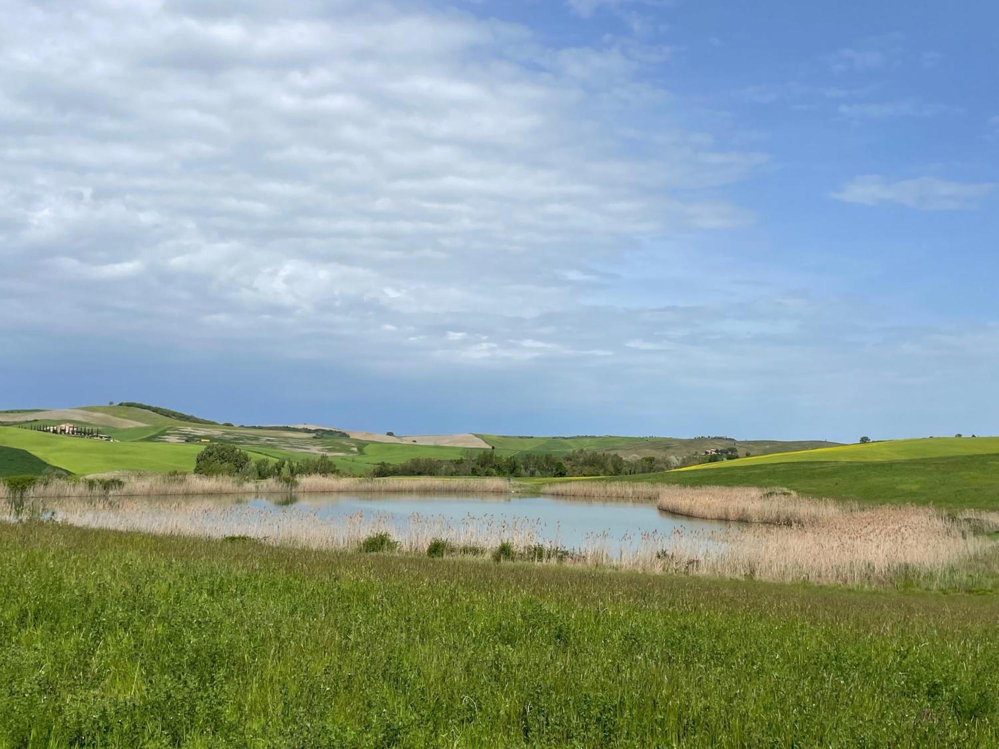 Agriturismo Le Sorbelle D'Orcia Con Piscina Pienza Bagian luar foto